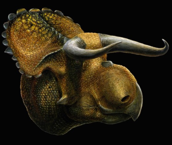 dinosaur with bulbous head